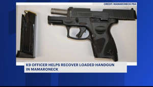 Mamaroneck K-9 officer credited for taking loaded handgun off the street