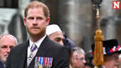 Prince Harry Finds Unlikely Ally in Court Showdown with the Media