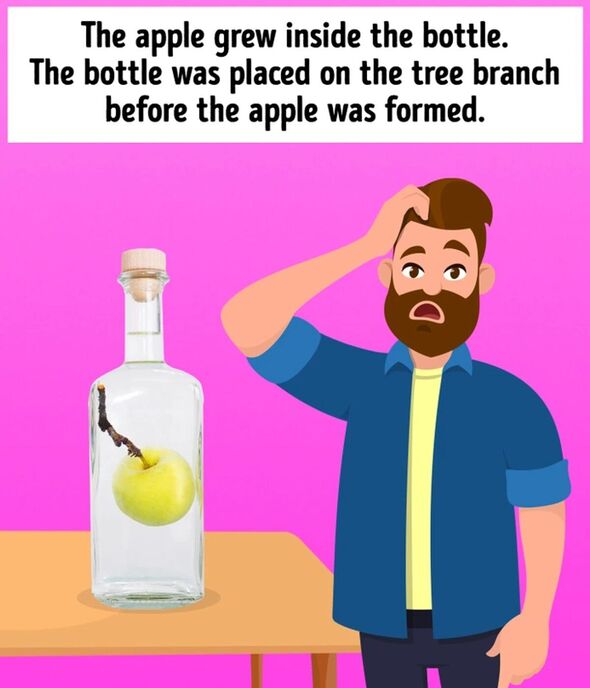 only logical thinkers will be able to solve the mystery of the apple inside the bottle
