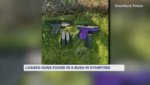Stamford police: Ghost gun among 2 loaded guns found in bush