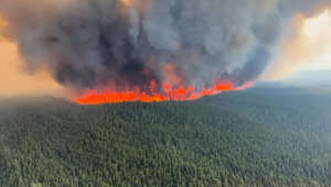 Uncontrolled wildfire burns near B.C.'s Tumbler Ridge