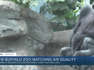 Buffalo Zoo watching animals closely because of poor air quality