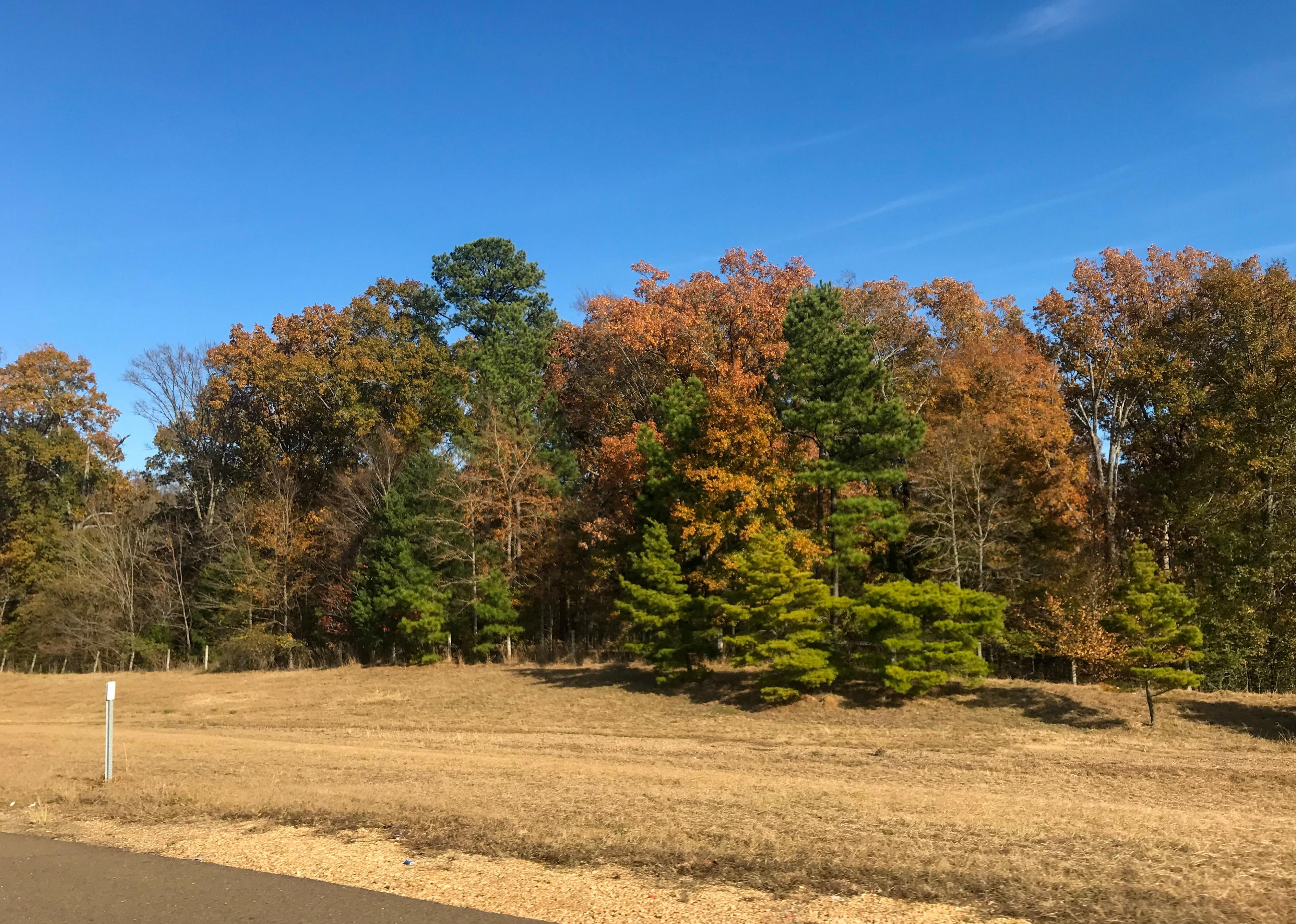 <p>- Population: 27,459<br> - Location: Suburb of Jackson, MS<br> - National rank: 176</p>  <p>Simmons Arboretum, Liberty Park, and <a href="https://www.madisonthecity.com/parks-sites">Strawberry Patch Park</a> are popular recreation sites in Madison. Although there are no college campuses, <a href="https://www.jsums.edu/lifelearning/?page_id=738">Jackson State University</a> offers satellite courses in town.</p>