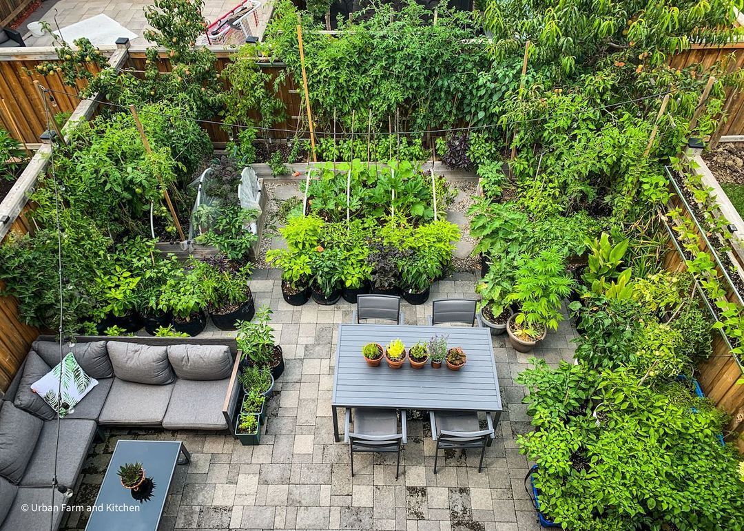 The most beautiful urban gardens