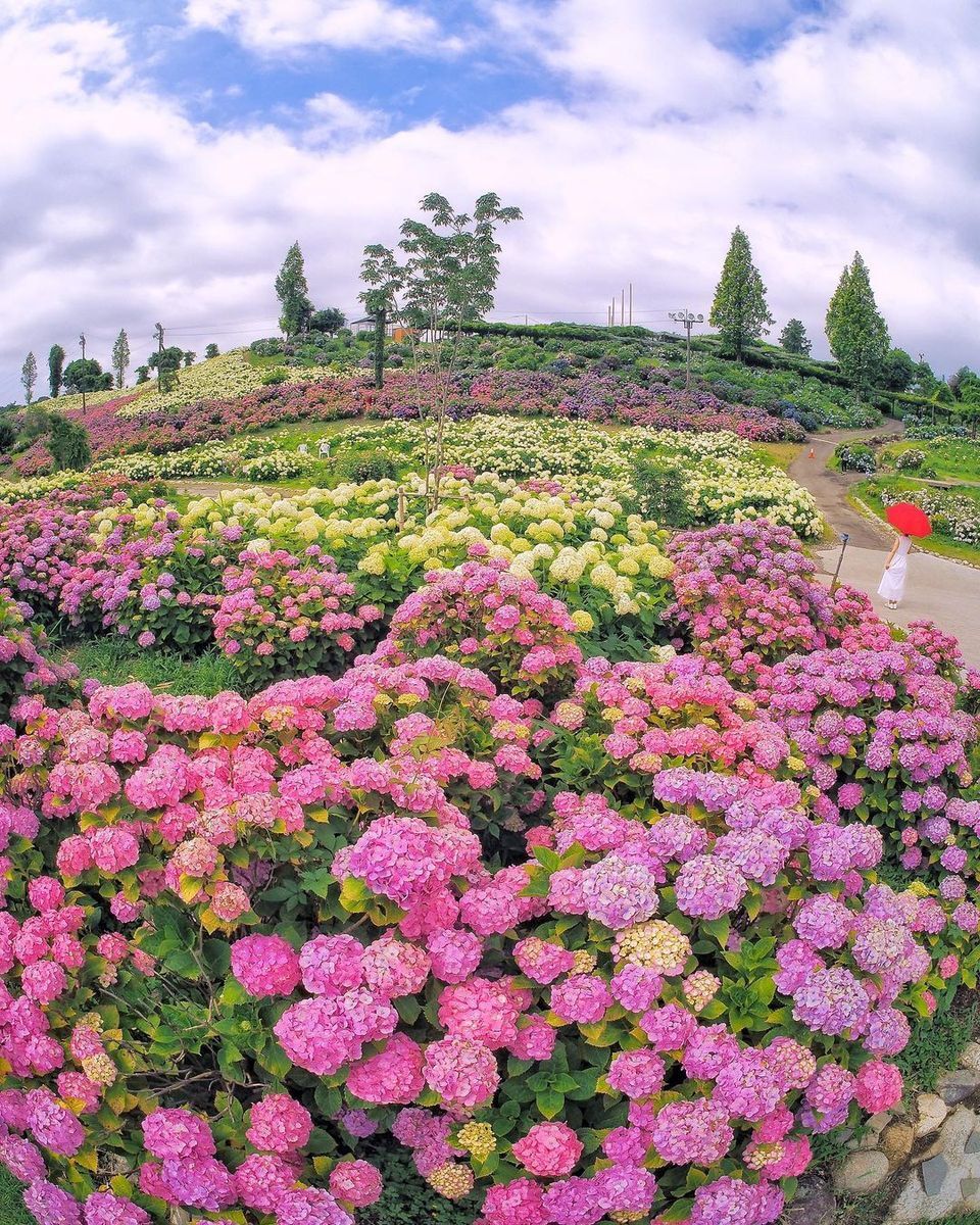 The most beautiful urban gardens