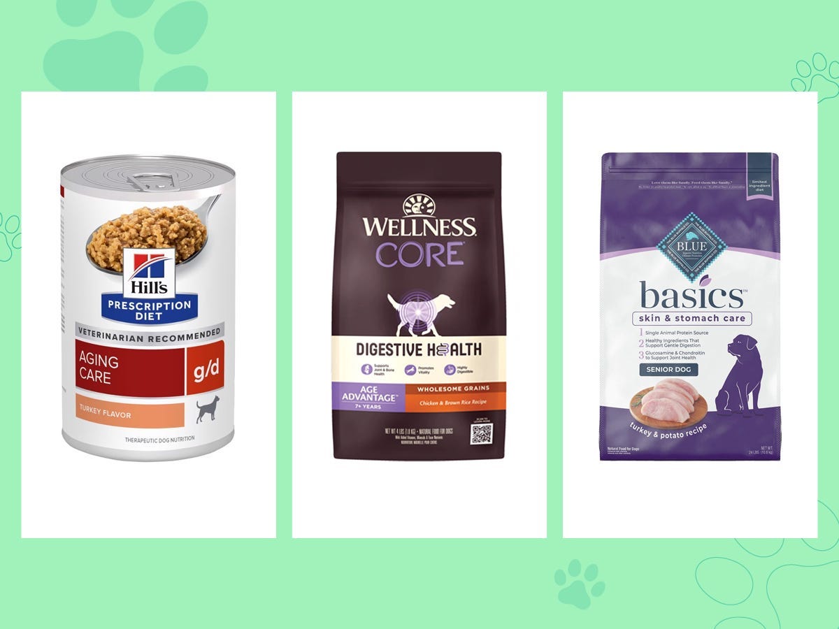 The best senior dog food of 2024, with advice from veterinarians