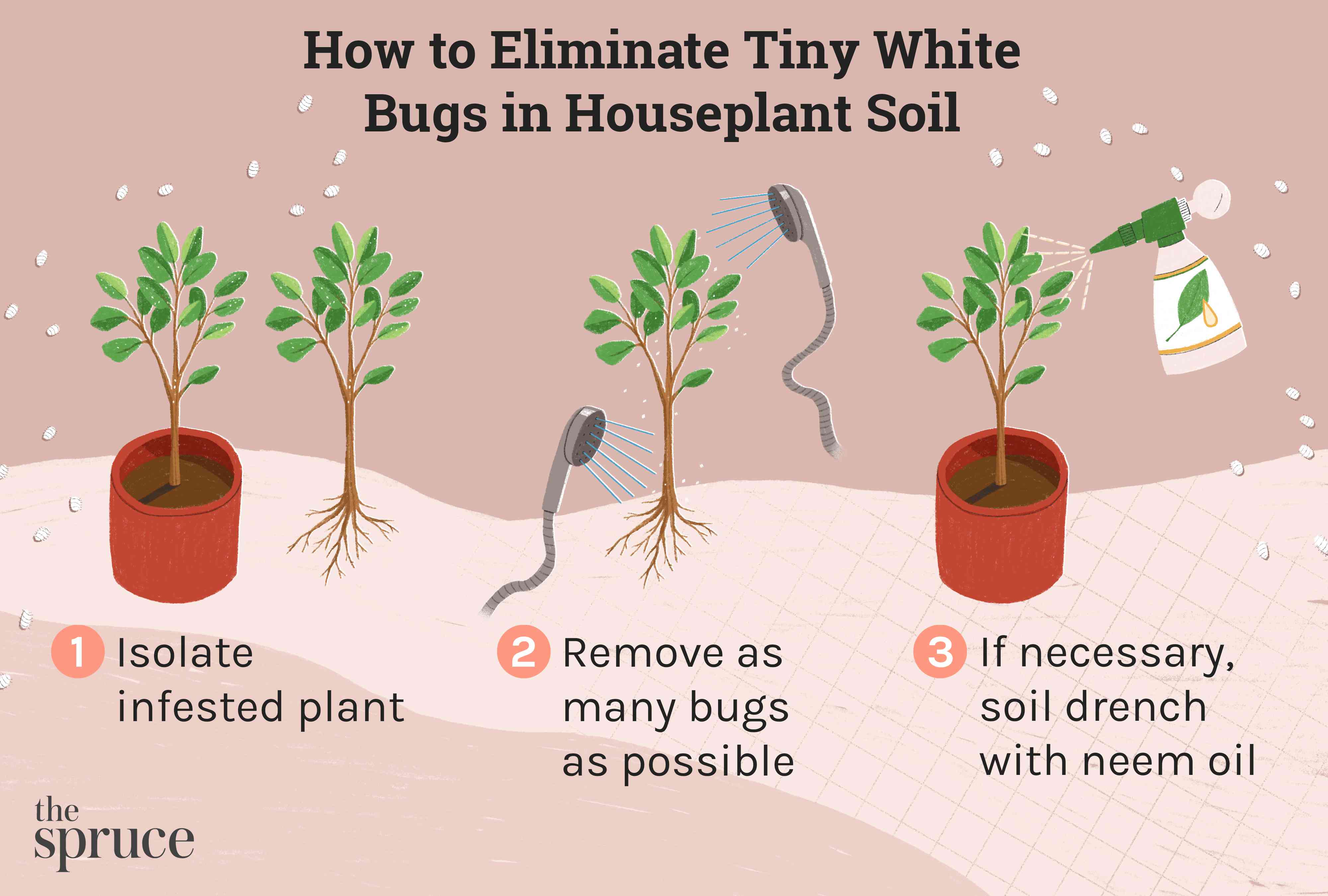 How to Identify and Eliminate Tiny White Bugs in Houseplant Soil