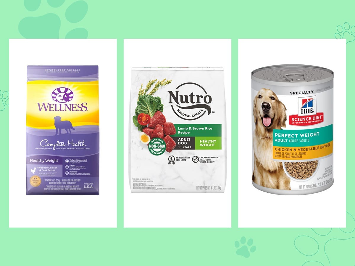 The best senior dog food of 2024, with advice from veterinarians