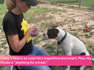 Meet Smokey, the Nebraska Humane Society's pet of the week available for adoption