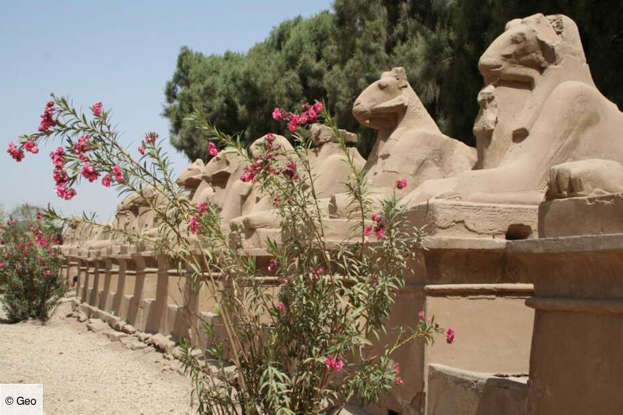 L’allée des sphinx à Louxor, en Egypte
