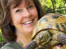 Woman Reunites With Tortoise After It Disappears for 9 Months