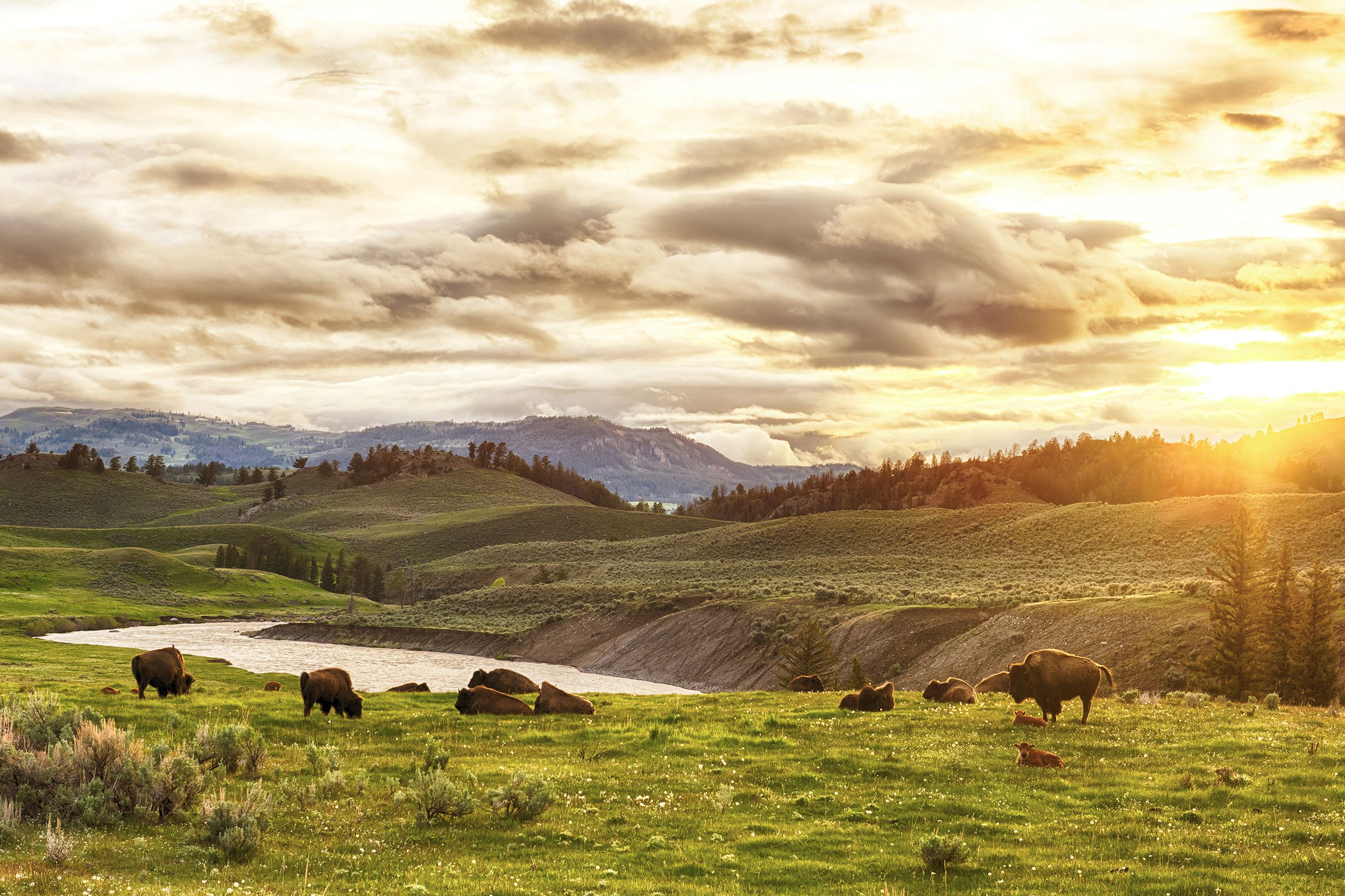 <p>Regarded by many as the first national park in the world (some argue the oldest is Bogd Khan Uul National Park in Mongolia), Yellowstone showcases some of the most stunning landscapes in this country. From watching the famed geyser Old Faithful erupt to <a href="https://www.yellowstonepark.com/things-to-do/top-10-kid-activities">walking around Grand Prismatic Spring</a>, to encountering bison and bears, Yellowstone can be a captivating experience for children. Exploring the park by kayak is yet another option. <a href="https://www.shurradventuresyellowstone.com/canyonhikingadventure">Shurr Advenstures</a> offers half- and full-day kayaking trips that allow young participants to build their confidence in the outdoors.</p>