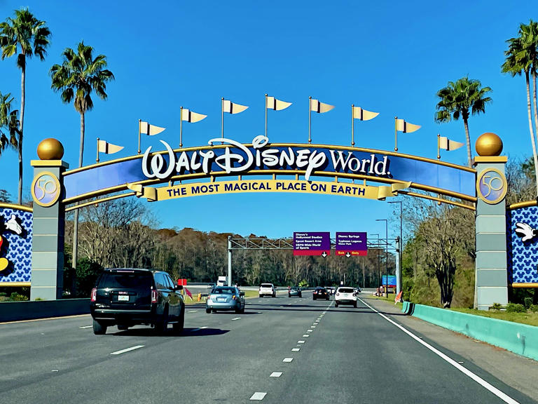 Man Files Lawsuit Against Disney World Over Alleged Water Slide Injury