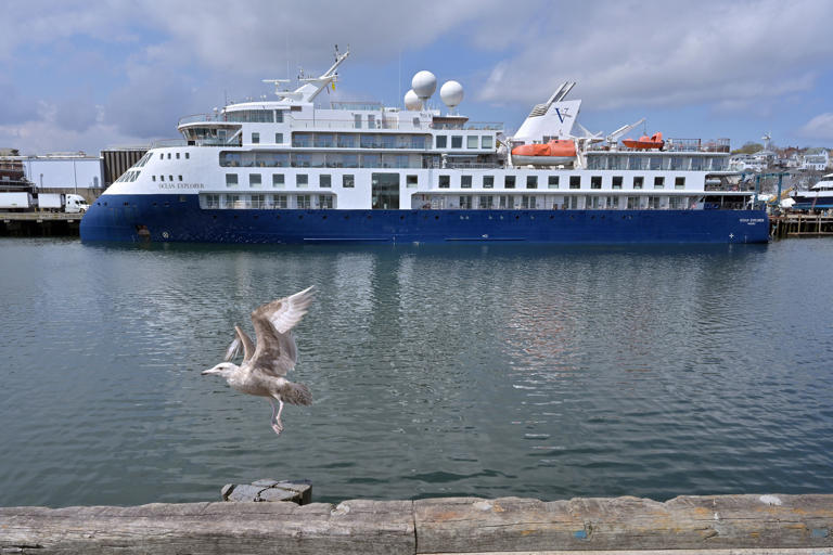 The Vantage Travel cruise ship Ocean Explorer docked at the Gloucester Cruiseport on April 27. After months of punishing publicity over canceled trips and long-delayed refunds, Vantage Travel, the Boston-based cruise line company, confirmed last week that it was up for sale.