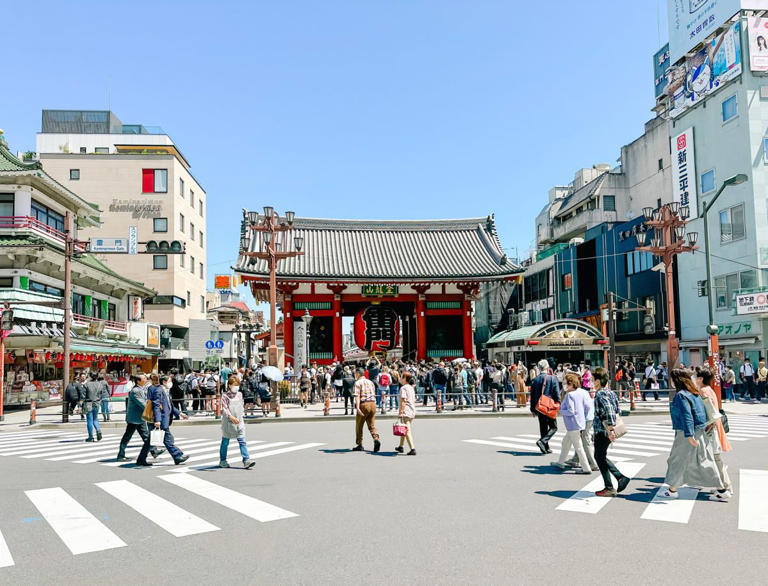 These Japan travel tips will help you navigate transport, enjoy local cuisine, know what to pack, and understand Japanese cultural norms. 