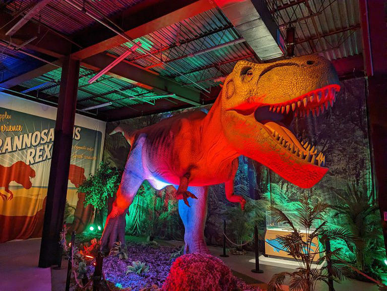 Travel back in time to walk among the dinosaurs at Dino Safari: A Walk-Thru Adventure! Learn more in this review of Dino Safari.