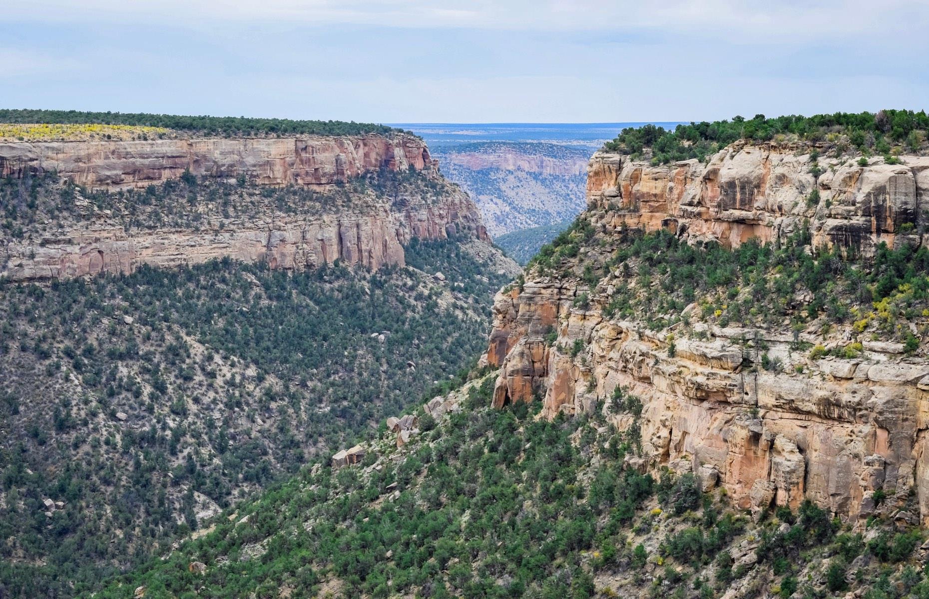 <p>Mesa Verde National Park sits at the top of an 8,570-foot-high (2,600m) sandstone plateau. To get to it, it's an exhilarating 20-mile (32km) uphill drive from the main highway, on a mountainous road featuring hairpin bends and sheer drops. It's worth navigating it, however, to drink in the far-reaching view over the verdant Mesa Verde and Four Corners region that greets you at the top.</p>  <p><a href="https://www.loveexploring.com/galleries/84907/jaw-dropping-pictures-of-the-worlds-most-dangerous-roads?page=1"><strong>Discover these jaw-dropping pictures of the world's most dangerous roads</strong></a></p>