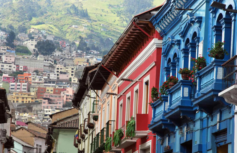 Quito, Ecuador is a city full of culture and history. Here are the best things to do in Quito, Ecuador on a family vacation before you head off and explore further.