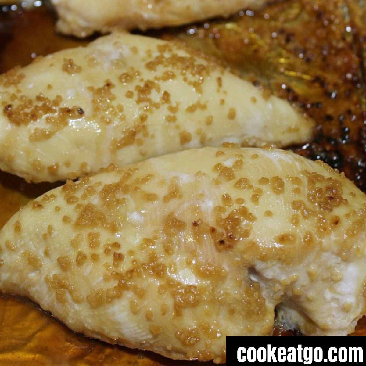 Weight Watchers Garlic Chicken! Only 4 Ingredients! - Vimarsana News