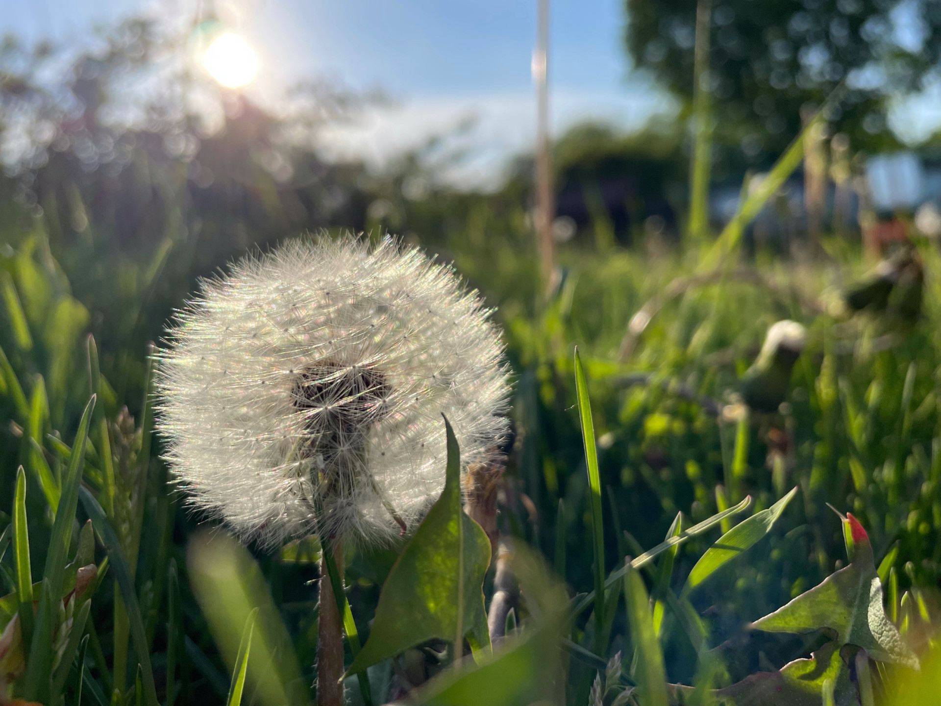 Triggers that are making your allergies worse