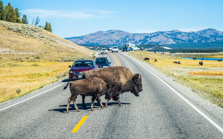 Are you planning to visit Yellowstone for the first time and need some inspiration for the best things to do in Yellowstone National Park? Then you’ve come to the right place. Yellowstone is one of …   30 Best Things to Do in Yellowstone National Park (complete guide) Read More »