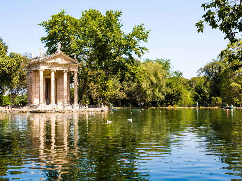 An expansive and picturesque public park, Villa Borghese in Rome, Italy. Couples on the boat adorn the tranquil lake's landscape, offering a serene retreat within the bustling city, with the gulls swimming around the lake.