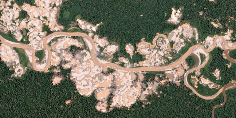 Abgeholzter Regenwald in Peru: Planet-Satelliten fanden eine illegale Goldmine, zwischen den beiden Fotos liegen zwölf Monate Planet Labs Inc.