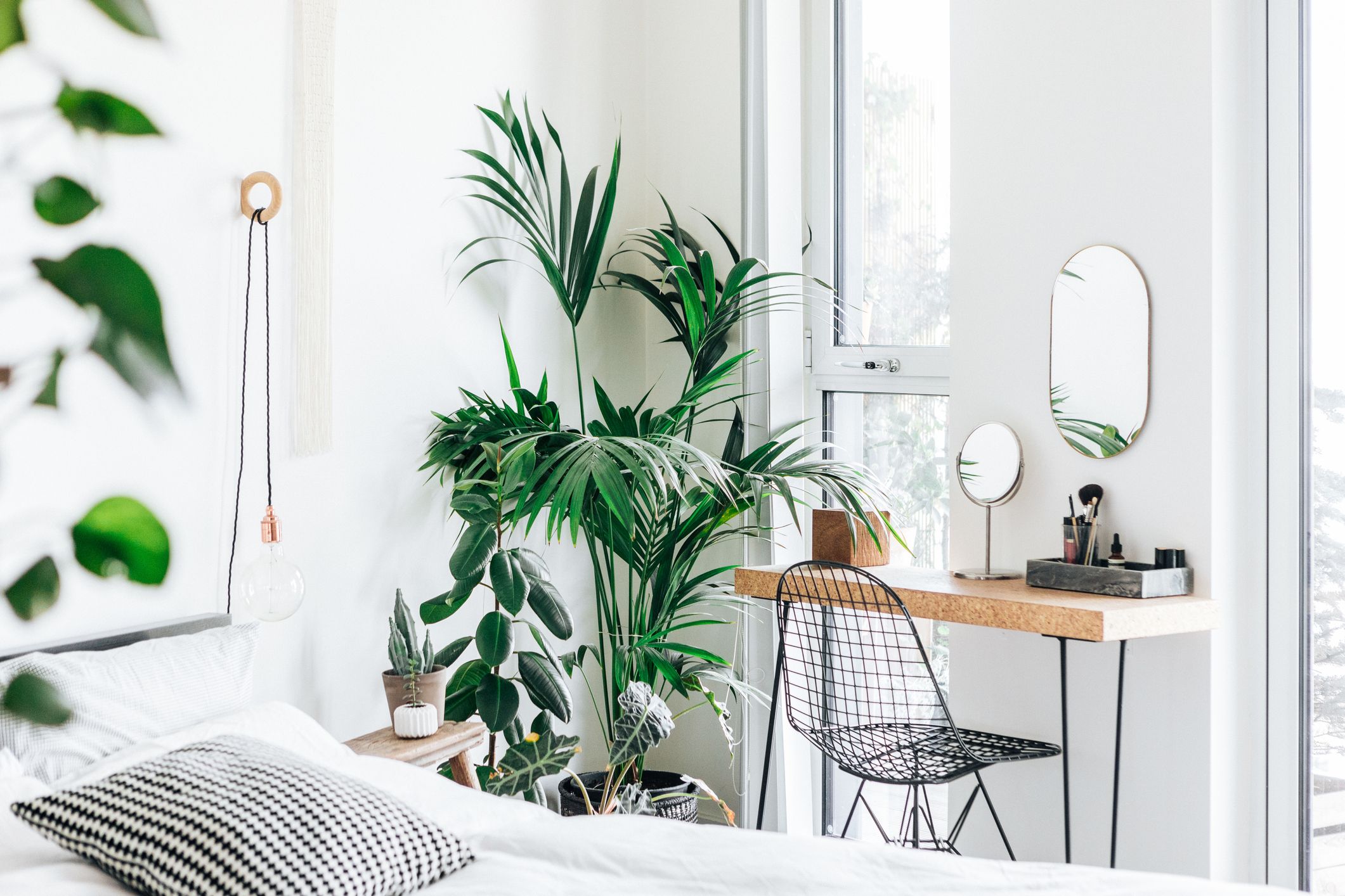 These Beautiful Bedroom Plants May Help You Get Better Sleep