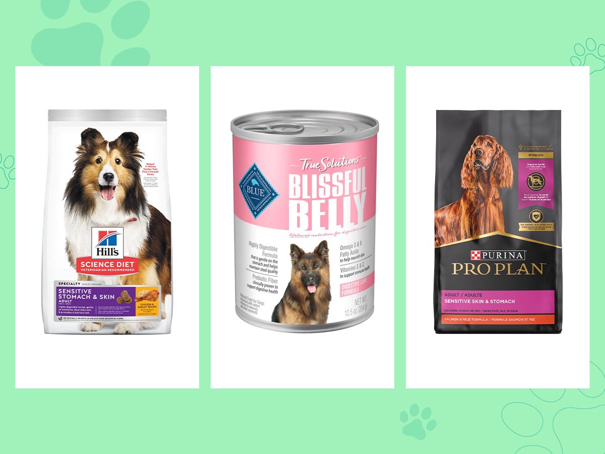 The Best Dog Foods Of 2023, According To Experts