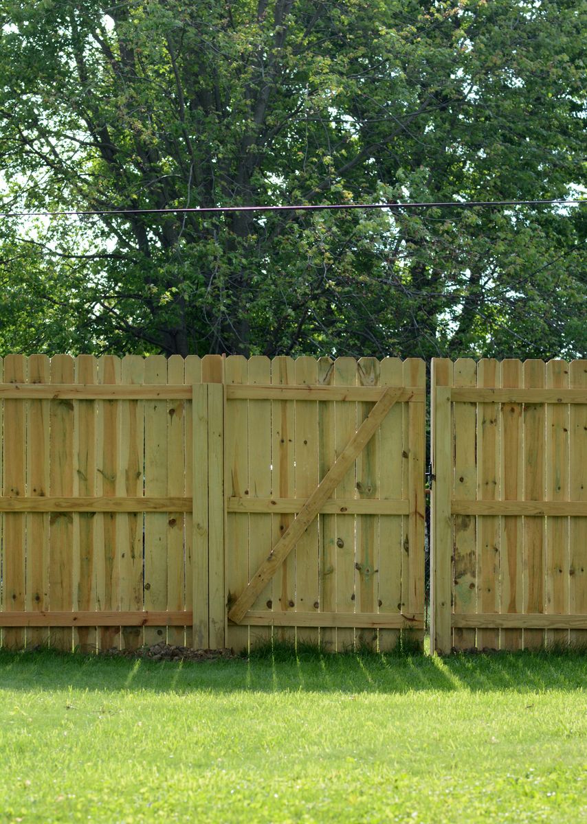 20 Cheap Fence Ideas That Don't Sacrifice on Style or Durability