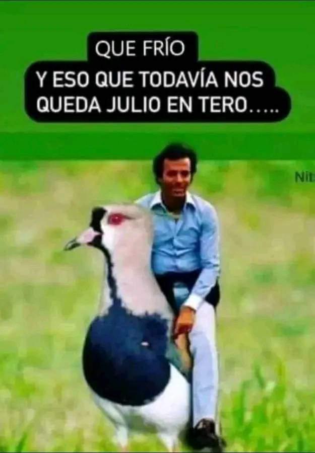 Los memes de Julio Iglesias