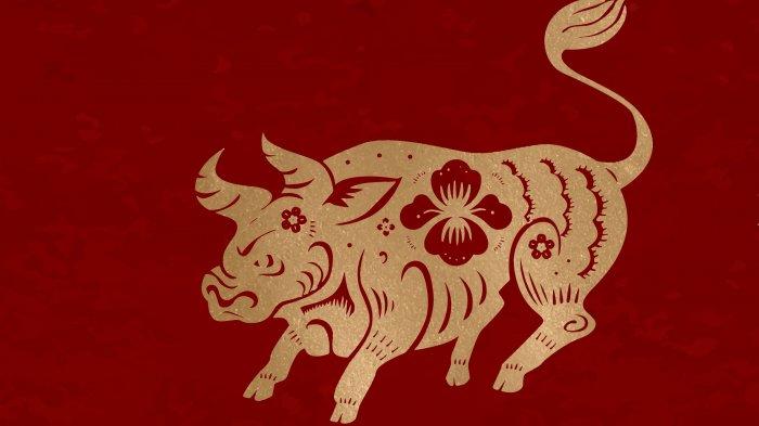 5 SHIO PALING BERUNTUNG Minggu ini 3 Mei 2025: Shio Tikus Terbaik di Antara Semua Shio!