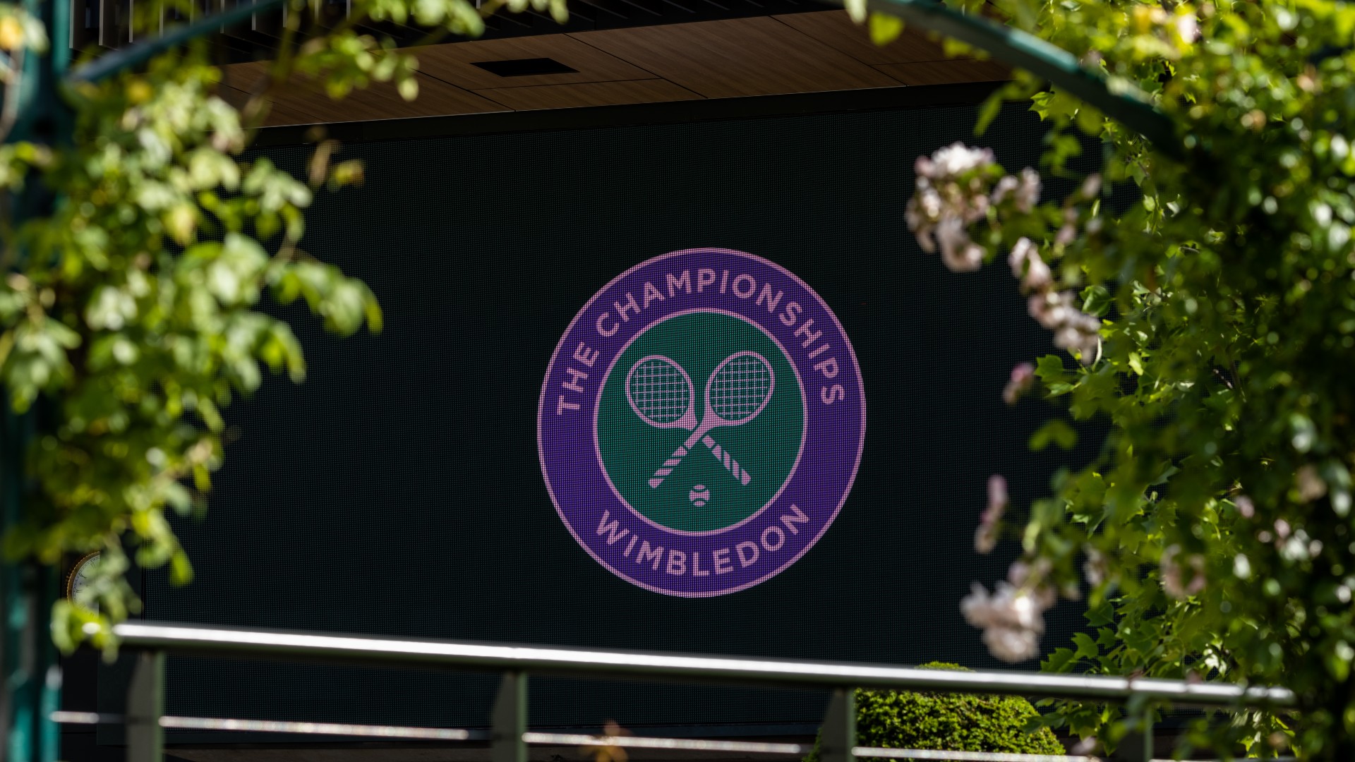 Wimbledon 2023 schedule: Draw bracket, seedings and results for men's
