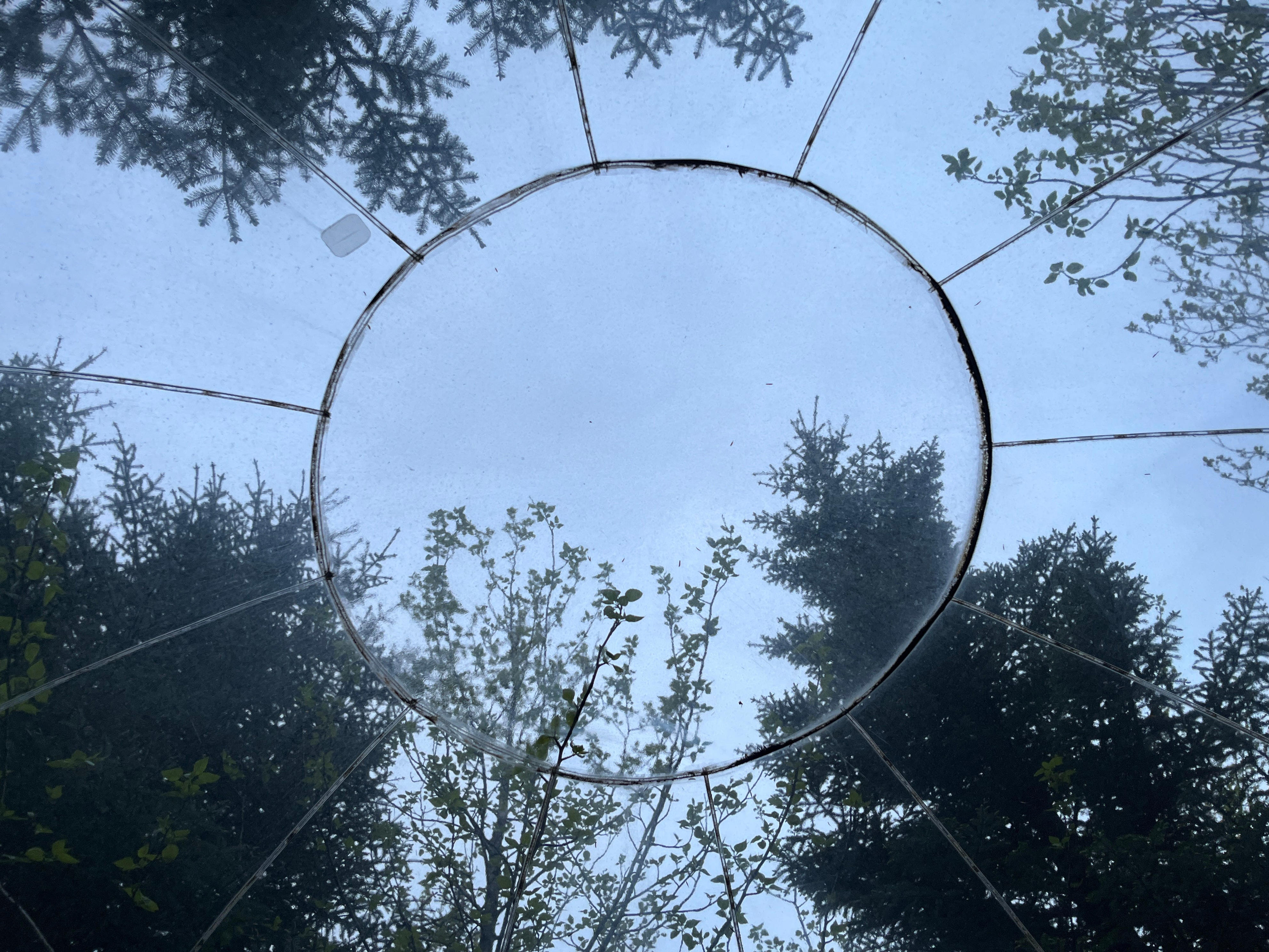 I paid $400 to stay in a transparent bubble in the middle of the woods