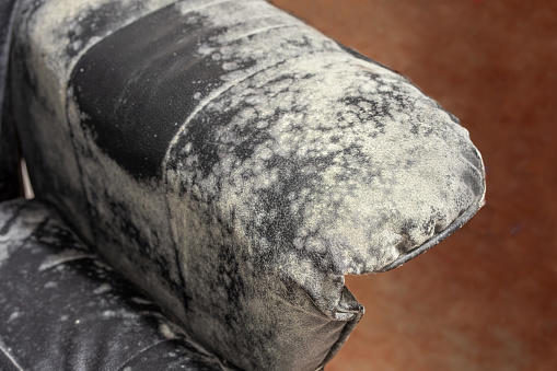 When mould gets hold, it’s best to bin the affected item (Picture: Getty Images/iStockphoto)