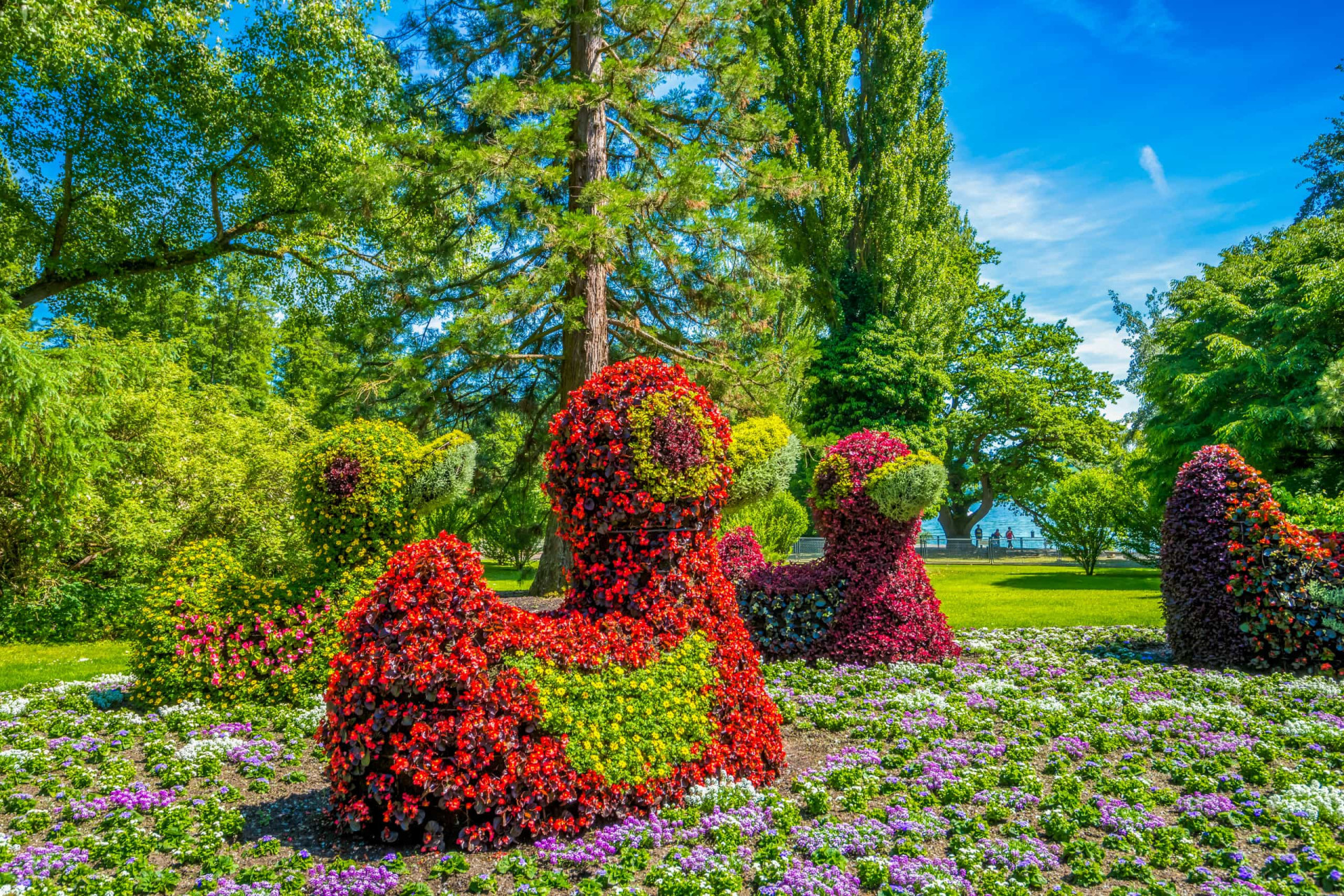 <p>Mainau is a island in Lake Constance and referred to as the Blumeninsel, or flower island. From March to May, you can see several types of flowers in full and colorful bloom, including tulips, daffodils, and hyacinths. The bouquet is intoxicating, and attracts thousand of butterflies.</p><p>Sources: (@GermanyinUSA) (History Daily) (UNESCO) (The Vintage News)</p><p>See also: <a href="https://www.starsinsider.com/travel/215764/discover-the-best-destinations-for-flower-lovers">Discover the best destinations for flower lovers</a></p>