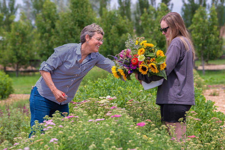 Averil Brent adds flowers to a pick-your-own bouquet held by her daughter, Andie Brent, at Garden Sweet in Fort Collins, Colo., Thursday, July 6, 2023. Andie learned of the pick-your-own flower farm while searching online for a "birthday experience" to share with her mother. Mother and daughter traveled from Denver to celebrate Averil's birthday.