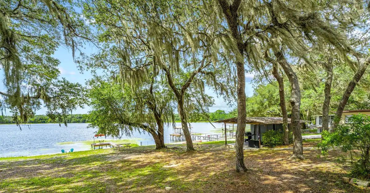 <p> In North Florida, just southeast of Gainesville, you’ll find the town of Hawthorne and a lakeside Airbnb for only $93 a night. </p><p>The cottage rental includes one king-size bed, two sofa beds, and one bathroom. While the cottage itself is adorable, the real draw is the outside. </p> <p> There’s a whole lake at your disposal at this cottage, where you can swim, paddle board, or watch from the shade of the cabana. There’s also an outdoor shower and a grill. </p> <p>  <p><a href="https://financebuzz.com/southwest-booking-secrets-55mp?utm_source=msn&utm_medium=feed&synd_slide=4&synd_postid=12138&synd_backlink_title=7+Nearly+Secret+Things+to+Do+If+You+Fly+Southwest&synd_backlink_position=4&synd_slug=southwest-booking-secrets-55mp">7 Nearly Secret Things to Do If You Fly Southwest</a></p>  </p>