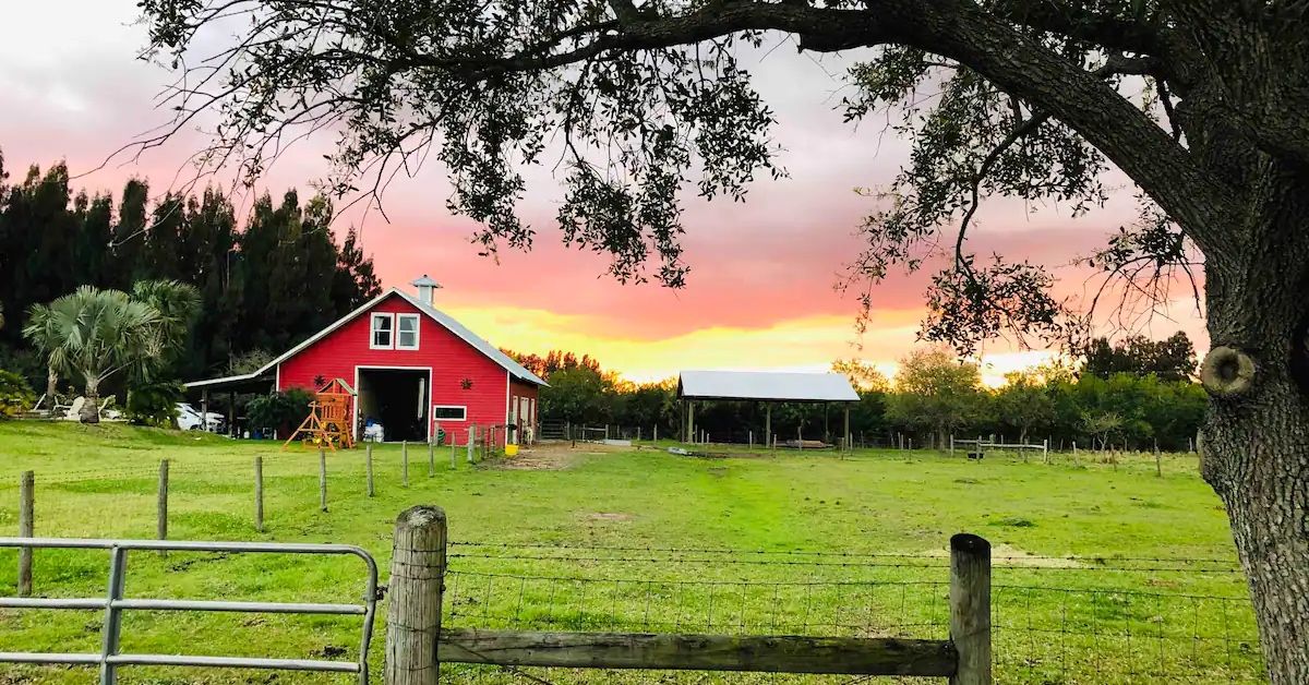 <p> Another unique and affordable farm-stay Airbnb is in Vero Beach for just $96 per night. Guests stay in a barn loft with vintage farmhouse decor, including a king-size bed and air mattress for rest. </p> <p> Pura Vida is a working farm, and you may interact with donkeys, horses, goats, cows, and more. There’s also on-site catch-and-release fishing. </p>