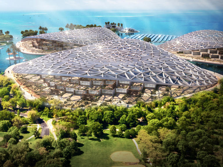 Dubai Reefs, el mayor proyecto de restauración oceánica - Foro General de Viajes