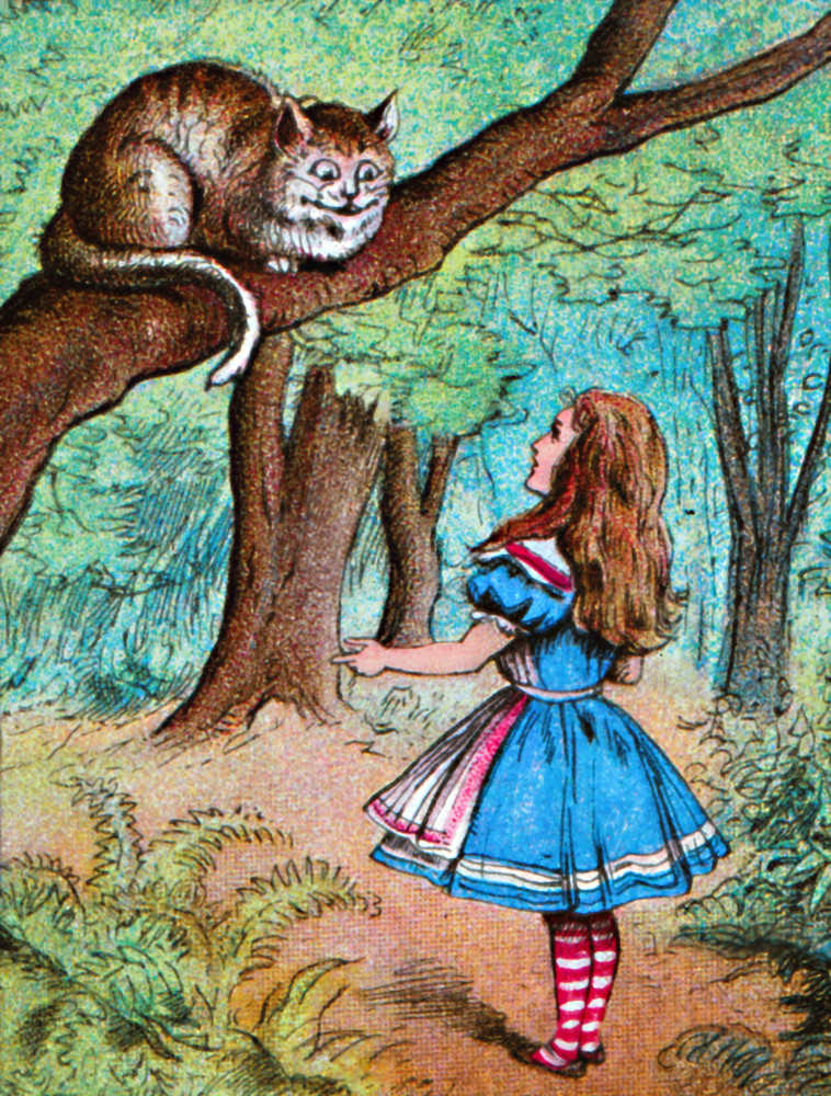 <p>The Cheshire Cat is the guiding spirit for Alice. He teaches her the 'rules' of Wonderland. Carroll may have found inspiration for the name and expression of the character in the 16th-century sandstone carving of a grinning cat on a facade of a church tower located near his birthplace in Daresbury, Warrington.</p><p>You may also like:<a href="https://www.starsinsider.com/n/245149?utm_source=msn.com&utm_medium=display&utm_campaign=referral_description&utm_content=558001en-en"> Pop quiz: guess the celebrity from their childhood photos </a></p>