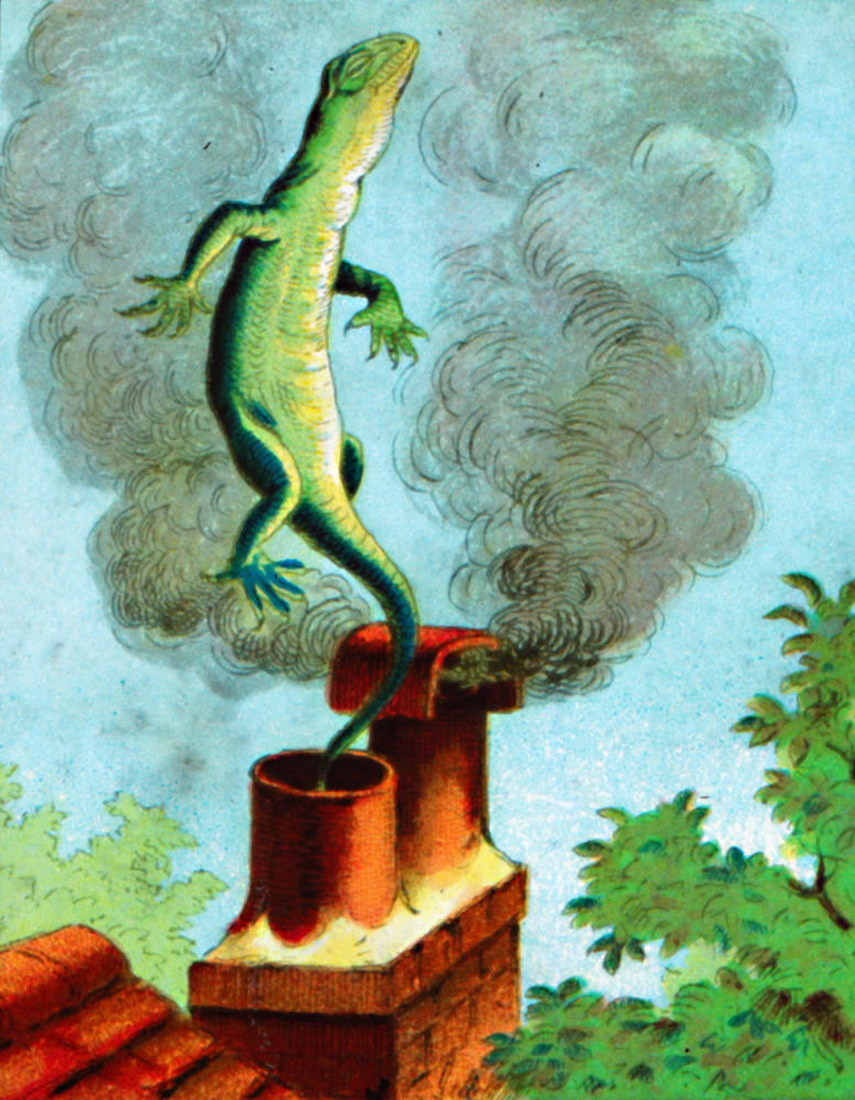 <p>Bill the Lizard is a lithe and supple character under the employ of the White Rabbit. He does all the hard work for the Wonderland denizens, including being sent down the chimney to rescue Alice after she grows too large to leave the house after eating a magical cake.</p><p><a href="https://www.msn.com/en-us/community/channel/vid-7xx8mnucu55yw63we9va2gwr7uihbxwc68fxqp25x6tg4ftibpra?cvid=94631541bc0f4f89bfd59158d696ad7e">Follow us and access great exclusive content every day</a></p>