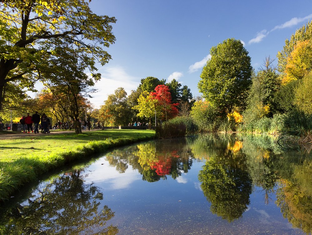 <p>Vondelpark is the most famous park in Amsterdam. Playgrounds, restaurants, cafes: the park serves as a recreation area for the city's residents. No wonder, then, that here, too...</p>