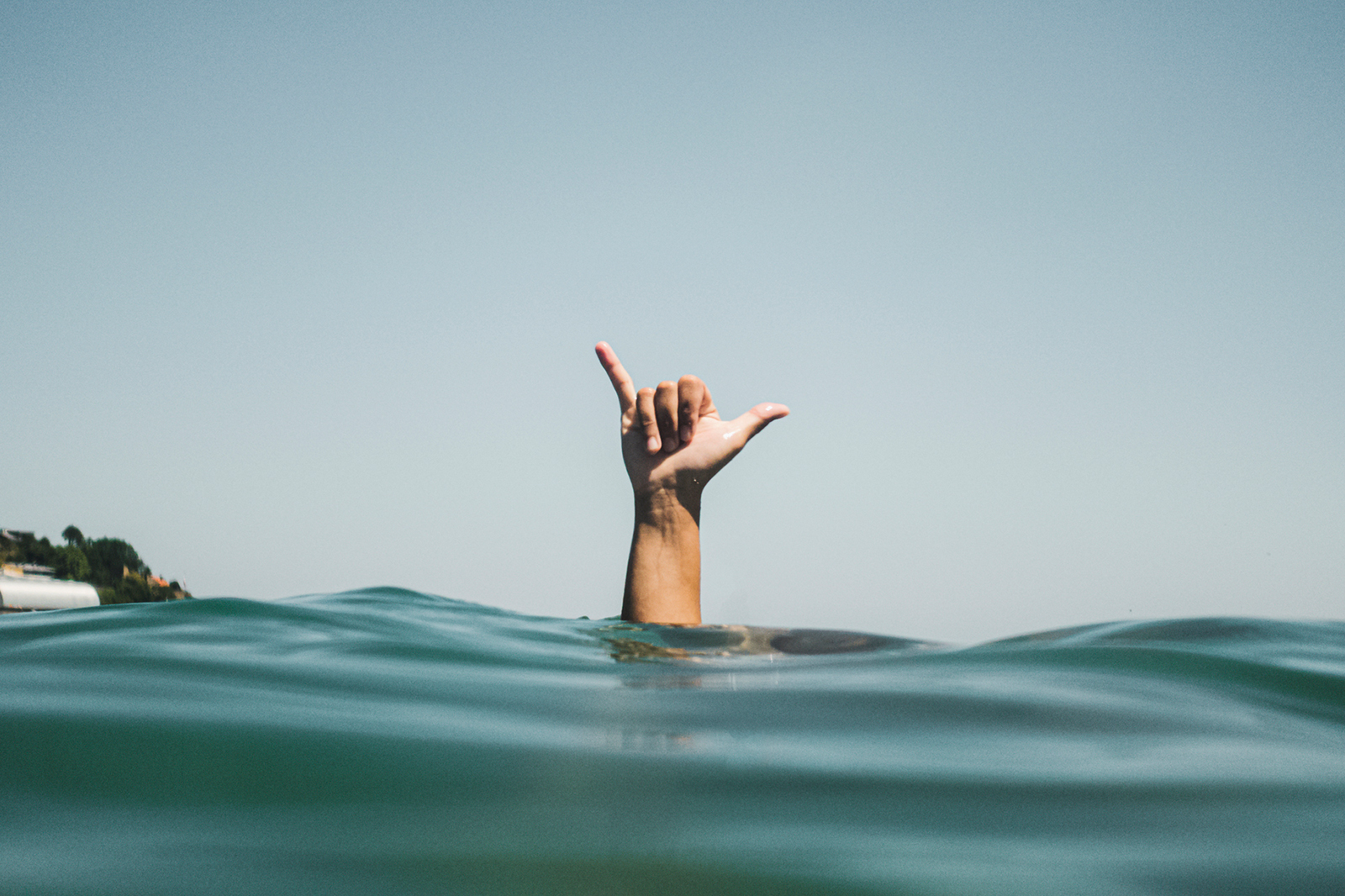 <p>  The shaka is a Hawaiian hand sign that 60s surf culture ran with. You probably think of this closed fist with extended pinky and thumb wave for something like "hang ten," but at its heart, it communicates a general feeling of friendliness and understanding. </p>