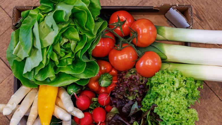 ¿qué Beneficios Aportan Los Vegetales A La Salud Según Su Coloremk 2030