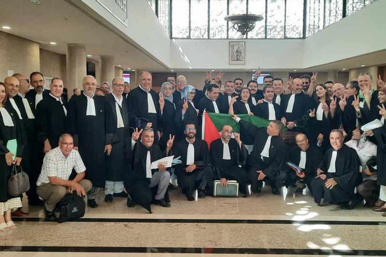 avocats palestine sit in