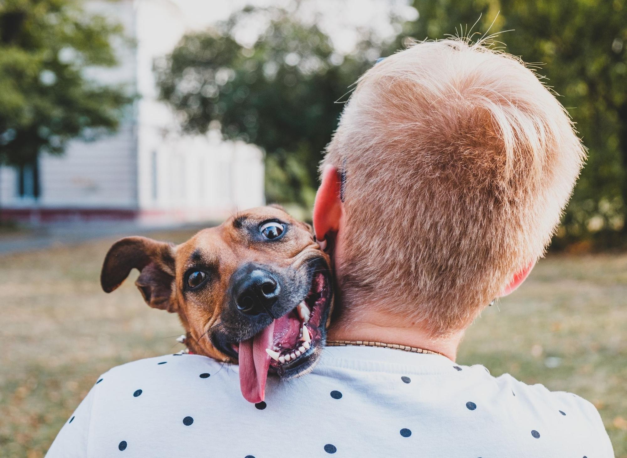 boy-dog-name-ideas-here-are-the-uk-s-10-most-popular-male-puppy-names