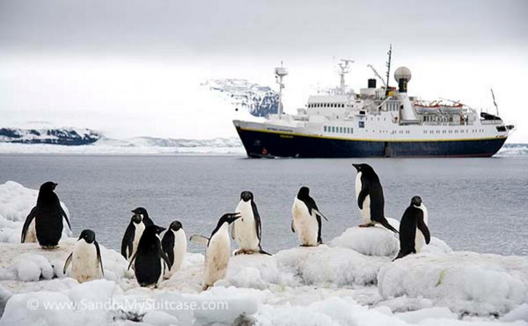 5 Possible Ways for Ordinary Individuals to Travel to Antarctica