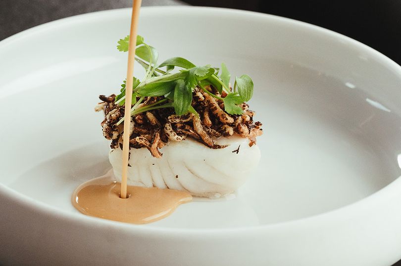 Six phenomenal Kent restaurants named in UK’s top 100 with coastal views and incredible ingredients