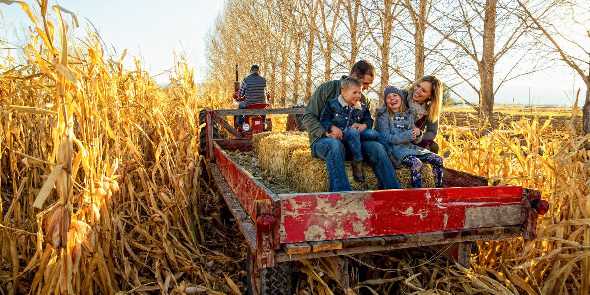 Mark Your Calendar for All the November Holidays to Celebrate in 2024